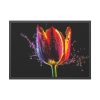 93855-486.jpg Close-up Shot Tulip Framed Poster