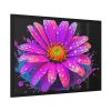 93855-531.jpg Colorful Daisy Framed Poster