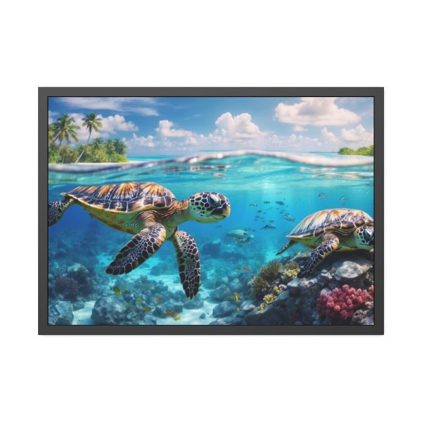 Sea Turtle Swimming In The Ocean Framed Poster