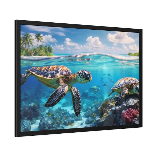 Sea Turtle Swimming In The Ocean Framed Poster