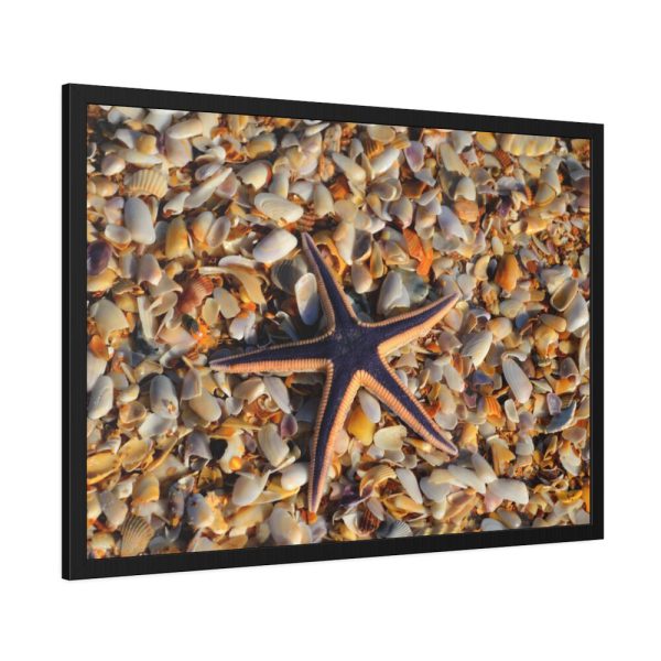 93855-591.jpg Starfish And Shells Framed Poster