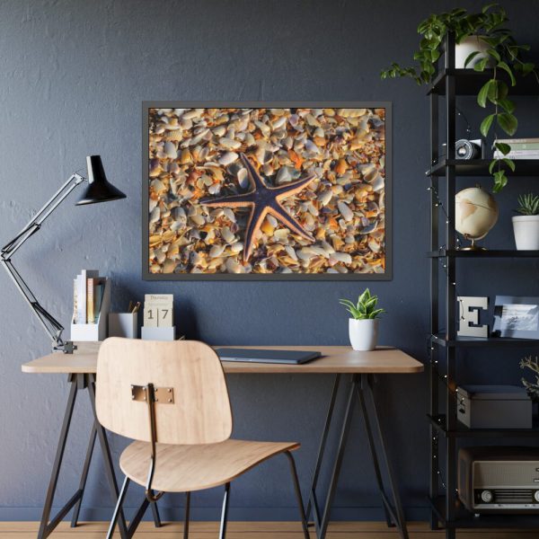 93855-592.jpg Starfish And Shells Framed Poster