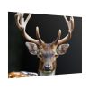 101875-12.jpg Fallow Deer, Cloven-hoofed Mammal Poster