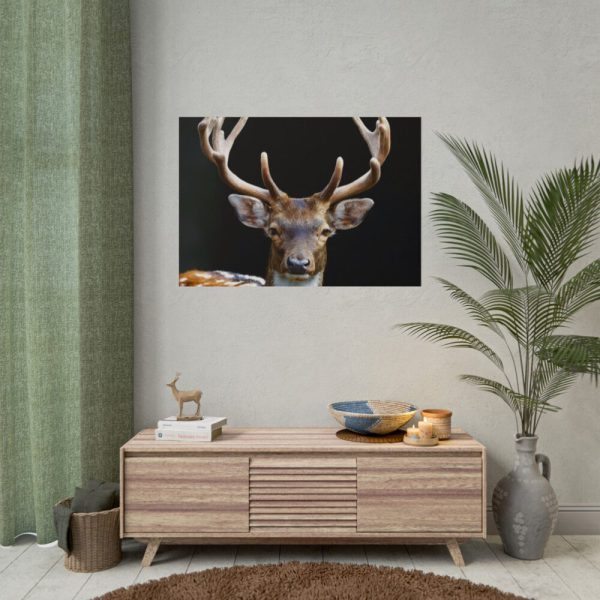 101875-13.jpg Fallow Deer, Cloven-hoofed Mammal Poster
