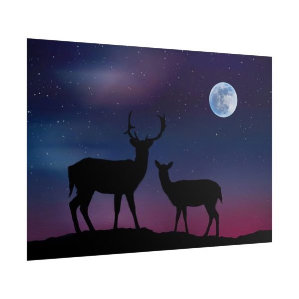 101875-2.jpg Silhouette Deer Aurora Sky Poster