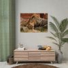 Lion South Africa Poster