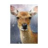 Deer Watercolor Painting Portrait Poster