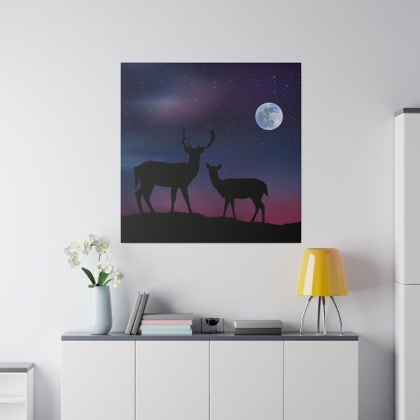 102212-3.jpg Silhouette Deer Aurora Sky Standard Canvas