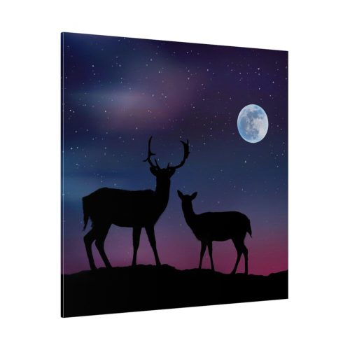 102212.jpg Silhouette Deer Aurora Sky Standard Canvas