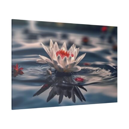 Water Lily Flower Blossom Pond Standard Canvas