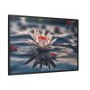 10902063395589568594_2048.jpeg Water Lily Flower Blossom Pond Framed Canvas