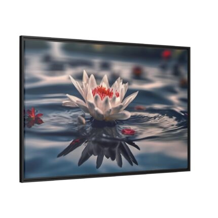 Water Lily Flower Blossom Pond Framed Canvas