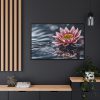 Water Lily Flower Blossom Water Framed Canvas
