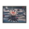 11997429510001315127_2048.jpeg Water Lily Flower Blossom Pond Framed Poster