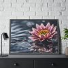 Water Lily Flower Blossom Water Framed Poster