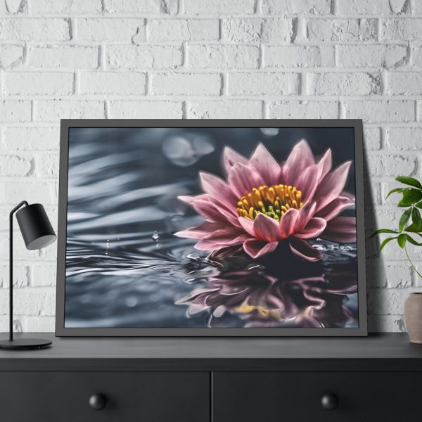 Water Lily Flower Blossom Water Framed Poster