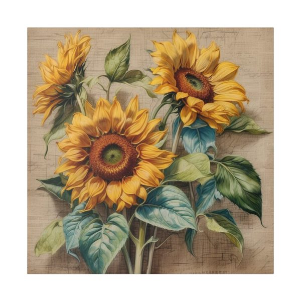 12154047046652449789_2048.jpeg Vintage Sunflower Art Print Standard Canvas