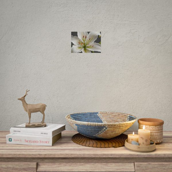 12688800898489431598_2048.jpeg White Lily Flower Poster