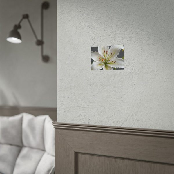 13147108745372692353_2048.jpeg White Lily Flower Poster