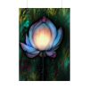 Magic Lily Flower Poster