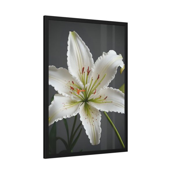 13205091469743194382_2048-1.jpeg White Lily Flower Framed Poster