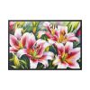 13446476236624044263_2048.jpeg Lily Flower Blossom Art Framed Canvas