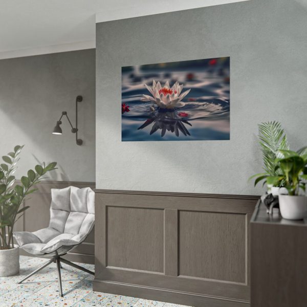 Water Lily Flower Blossom Pond Poster