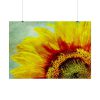 Sunflower Vintage Art Poster