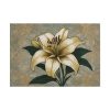 14369219638381346593_2048.jpeg Vintage Flower Lily Poster