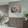 14947029187170499689_2048.jpeg Havanese Dog Poster