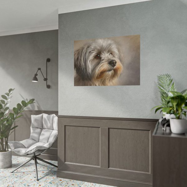 14947029187170499689_2048.jpeg Havanese Dog Poster