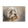 15473280184599336687_2048.jpeg Havanese Dog Framed Canvas