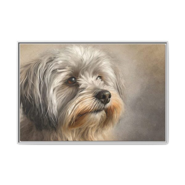 15473280184599336687_2048.jpeg Havanese Dog Framed Canvas