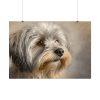 15538854590440824887_2048.jpeg Havanese Dog Poster