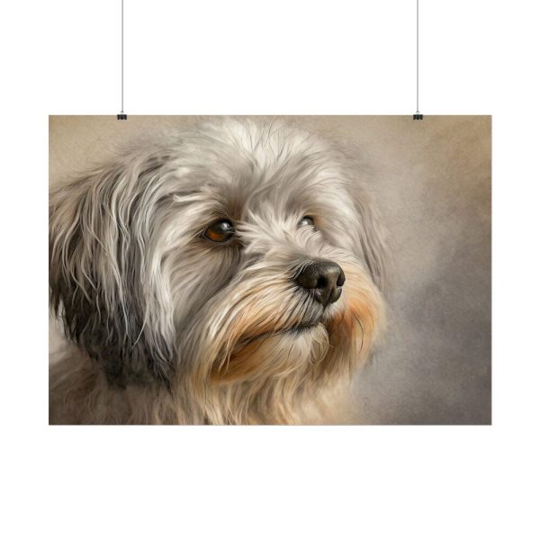 15538854590440824887_2048.jpeg Havanese Dog Poster