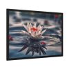 15603773741510360264_2048.jpeg Water Lily Flower Blossom Pond Framed Poster
