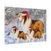 15649311932132725805_2048.jpeg Winter Collie Dog And Puppy Poster