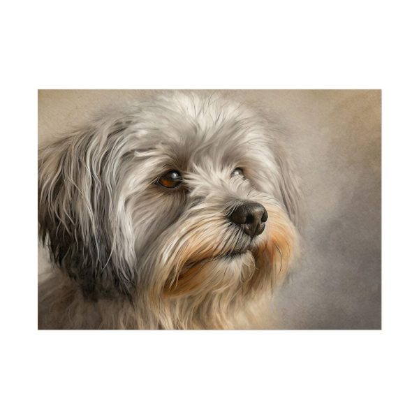 15692142671463164033_2048.jpeg Havanese Dog Poster
