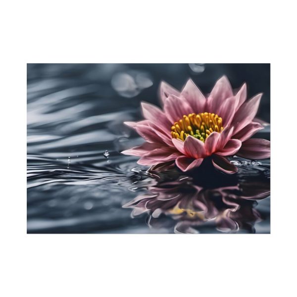 16306509293075934745_2048.jpeg Water Lily Flower Blossom Water Poster