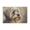 16505063240481706554_2048.jpeg Havanese Dog Standard Canvas