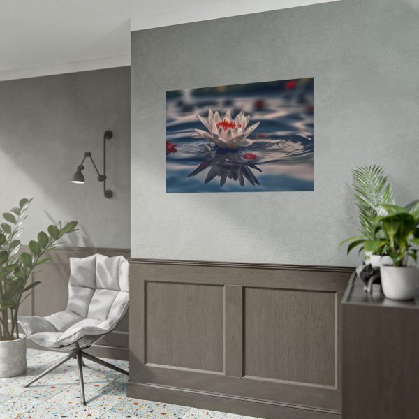 Water Lily Flower Blossom Pond Poster