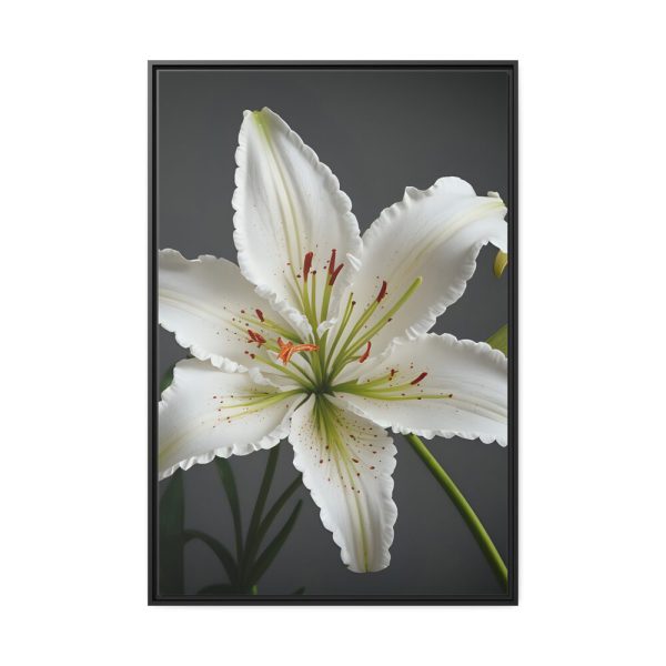 16727636788567247539_2048.jpeg White Lily Flower Framed Canvas