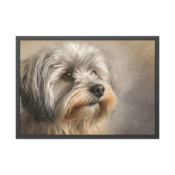 16904306270002246092_2048.jpeg Havanese Dog Framed Poster