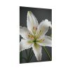 16929248969464475557_2048.jpeg White Lily Flower Poster