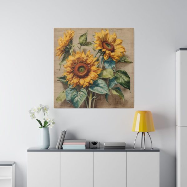 16944082673215736092_2048.jpeg Vintage Sunflower Art Print Standard Canvas