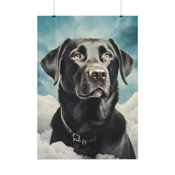 Dog Sympathy Poster