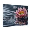 17514208754699267854_2048.jpeg Water Lily Flower Blossom Water Poster
