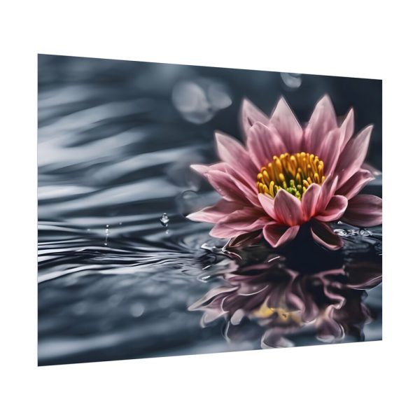 17514208754699267854_2048.jpeg Water Lily Flower Blossom Water Poster