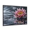 Water Lily Flower Blossom Water Framed Canvas