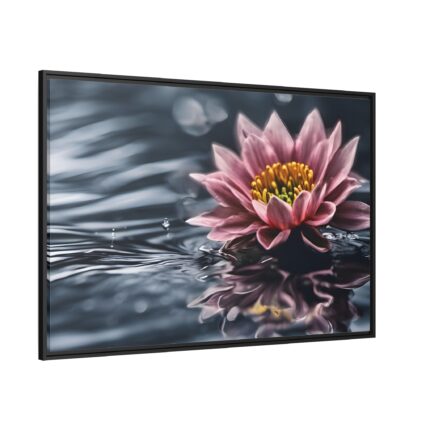 Water Lily Flower Blossom Water Framed Canvas